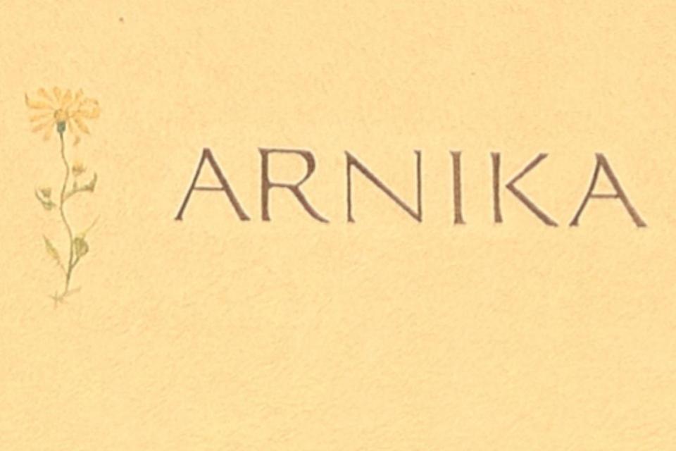 Haus Arnika Apartment