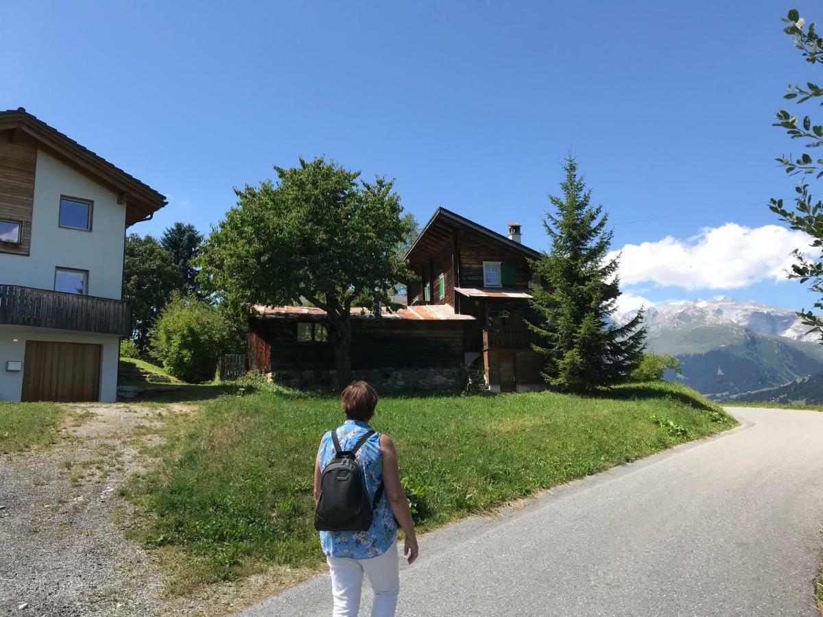 Haus Arnika